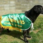 ＰＤ春季西日本訓練ＣＨ競技会