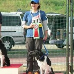 ＪＫＣ四国ブロック訓練・アジリティー競技会