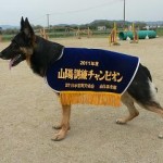 ＰＤ山陽訓練チャンピオン決定競技会