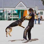 動物愛護のつどい