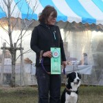 ＪＫＣ大阪北トレーナーズクラブアジリティー競技会