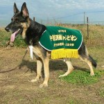 ＰＤ中国訓練チャンピオン決定競技会