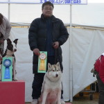 JKC中国ブロックアジリティー競技会