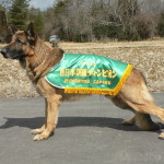 PD 春季西日本訓練チャンピオン決定競技会 2/25・26