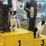 2012 3/4 大阪ブロック訓練・アジリティー競技会