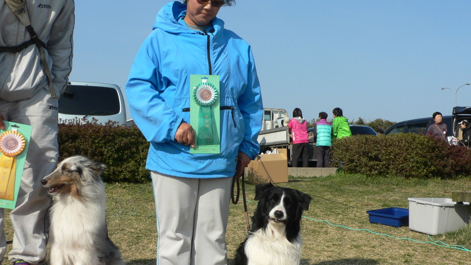 山口県西部ドッグメイトアジリティークラブアジリティー競技会