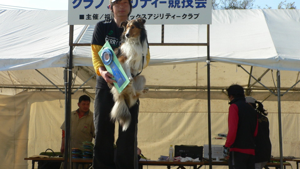 福岡アペックスアジリティークラブアジリティー競技会