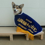 2012.4/22 山陽訓練チャンピオン決定競技会