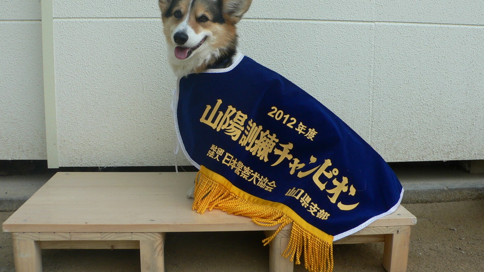 2012.4/22 山陽訓練チャンピオン決定競技会