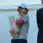 ＪＫＣ四国ブロック訓練・アジリティー競技会　5/12・13