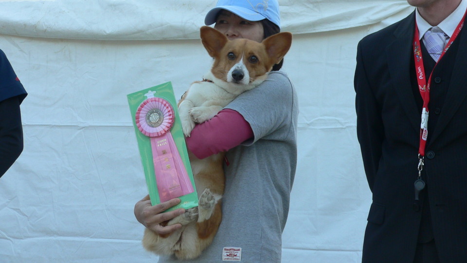 JKC四国ブロック訓練・アジリティー競技会 5/12・13