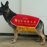 ＰＤ　山陰訓練王座決定競技会