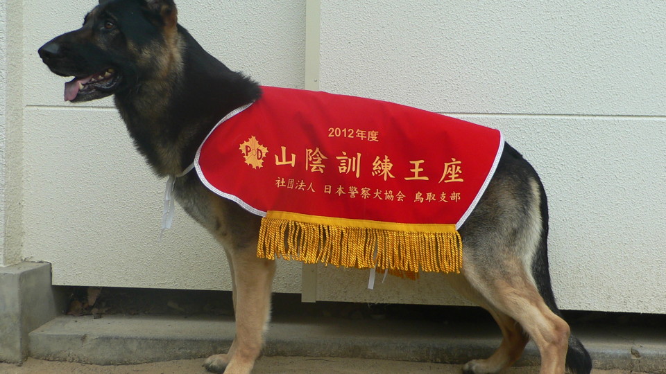 PD 山陰訓練王座決定競技会