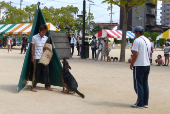 警察犬訓練の様子