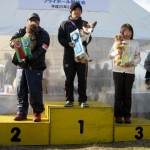 2013.3.3 大阪ブロックアジリティー競技会