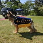 2013.5/12　PD　山陰訓練王座決定競技会