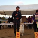 10/26 兵庫オールドッグトレーナーズアジリティー競技会