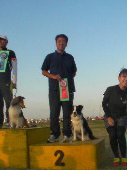 SANYO DIGITAL CAMERA