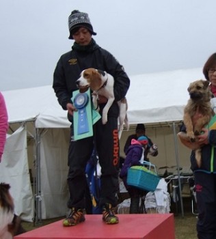 中国ブロック３