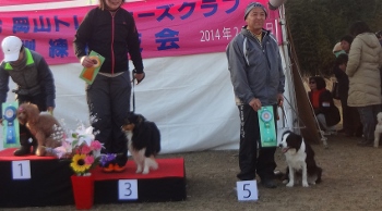 13　JP1M　アビー (350x194)