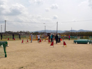 第２回アジリティスキルアップセミナーの様子