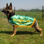 4/13　ＰＤ春季西日本訓練チャンピオン決定競技会