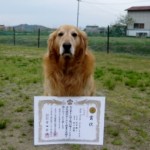 4/27 山陽訓練チャンピオン決定競技会