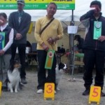 4/12福岡アペックスアジリティークラブ競技会