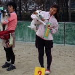 北九州ドッグスポーツトレーナーズクラブアジリティー競技会