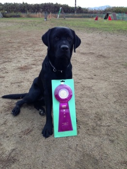 2014年11月22 日・23日　