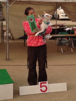 ２０１４．１１．１６徳島　チョコ　