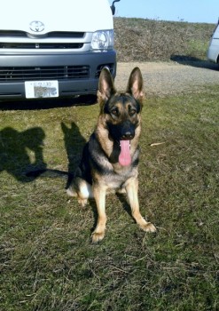 1425805339061 (452x640)