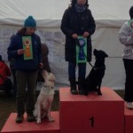 JKC中国ブロック訓練・アジリティー競技会2015/1/31～2/1