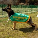 PD春季西日本訓練チャンピオン　2015/2/21,22