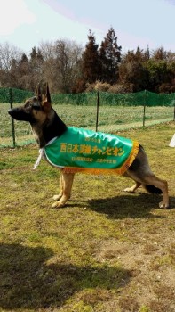 20150228_115726 (360x640)