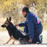 ２０１５　PD日本訓練チャンピオン