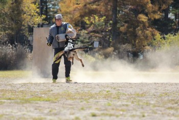 日本訓練チャンピオン７