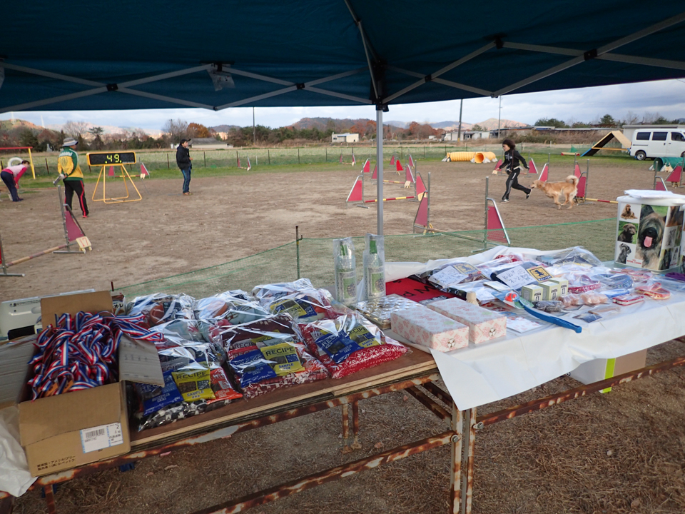 チーム対抗リレー戦