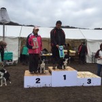 ＪＫＣブロック訓練・アジリティー競技会１月３０・３１日