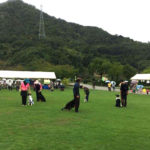 集団合同服従実演