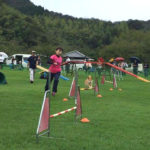 佐々木＆アルバ