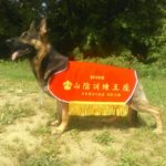 5月15日ＰＤ大山　競技会