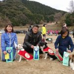 山口県西部ドッグメイトアジリティークラブアジリティー競技会