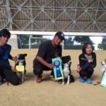 京都長岡京トレーナーズクラブアジリティー競技会2017年5月28日