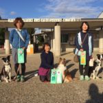 京都京洛トレーナーズクラブアジリティー競技会2017年5月27日