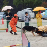 災害救助犬の実演