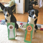 佐々木ソラ＆ウミ