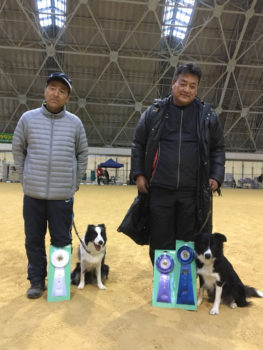 ＦＣＩ西日本インターナショナルアジリティー競技大会