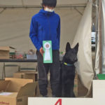 徳島北ドッグスポーツTRクラブ訓練競技