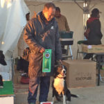 徳島北ドッグスポーツＴＲクラブアジリティー競技会